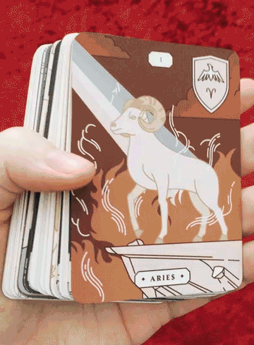 zodiac cards with box and back