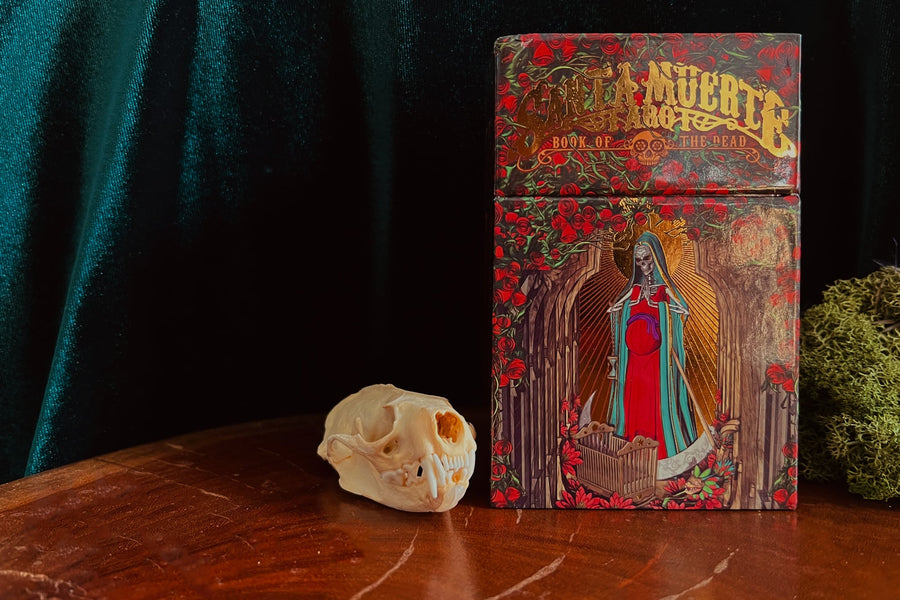 Interviewing Fabio Listrani, Creator of the Santa Muerte Tarot, Night Sun Tarot, Notoria and Goetia