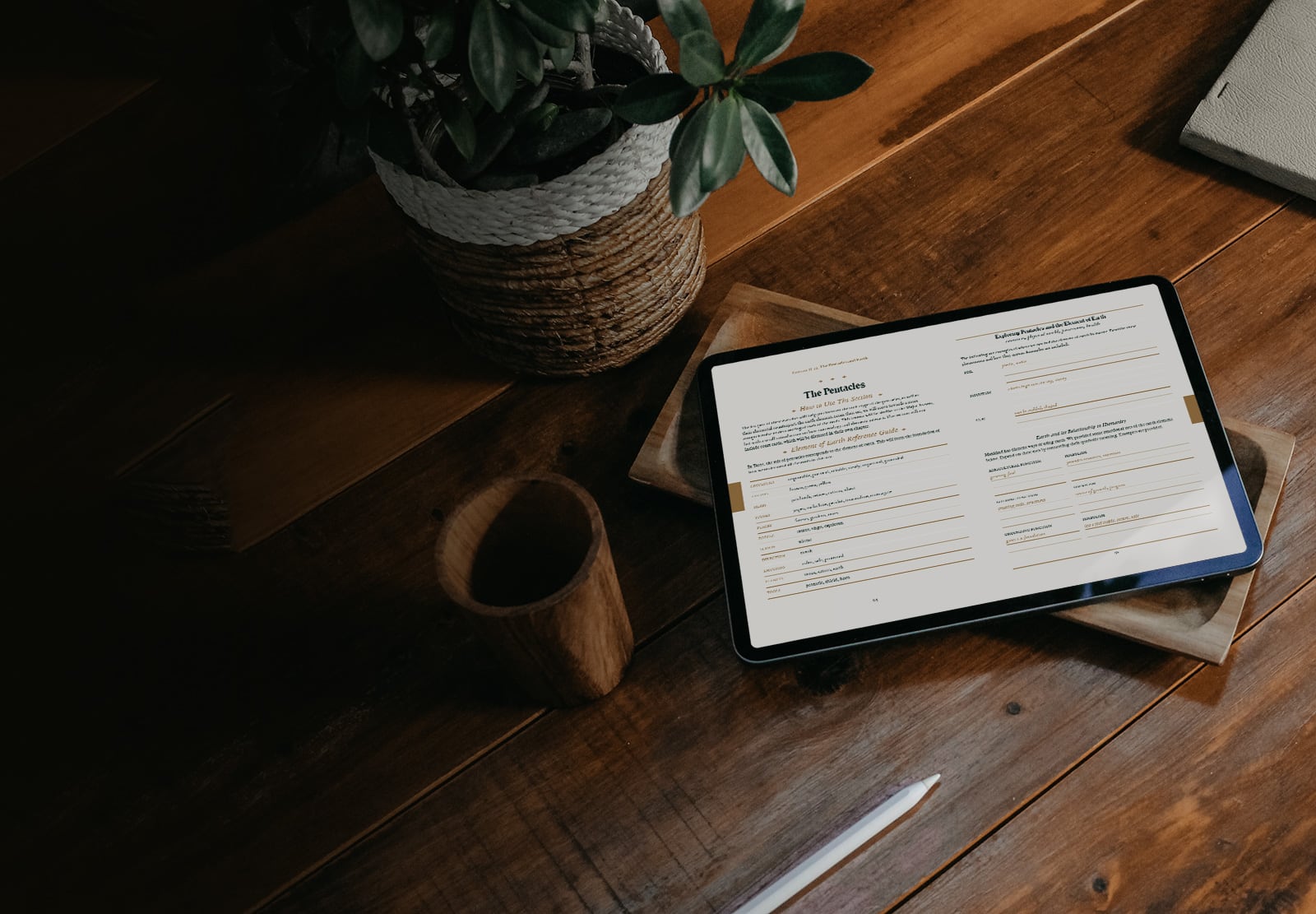 Our digital tarot journal guides you through your own unique understanding of the tarot. Learn about the 78 cards and elements. Comes as a fillable, interactive PDF so you can enter all your answers on your computer or tablet.